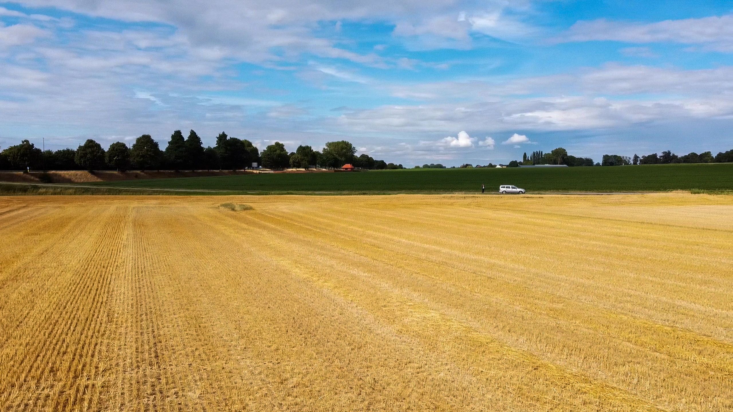 Aerial view of productive agricultural field